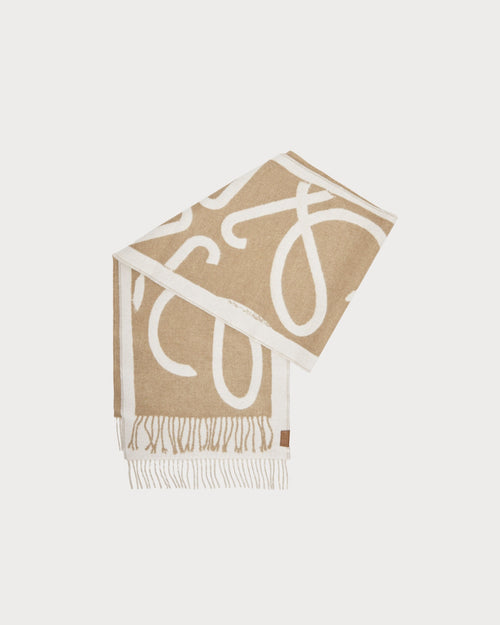 LOEWE Wool and Cashmere Scarf | LOEWE neck scarf (multi-color)