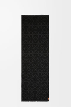 LOEWE Scarf in wool and silk | Loewe scarf (multicolor)