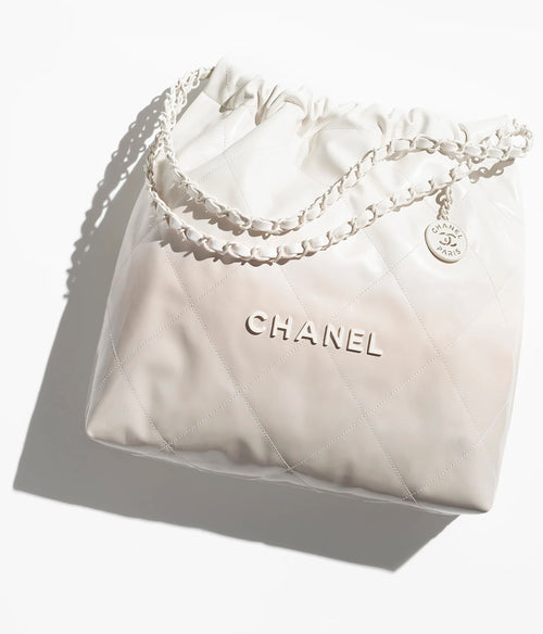 CHANEL AS3261 22 Medium Handbag | Chanel Handbag (Multi-color)
