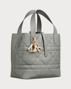 CHRISTIAN DIOR Small Dior Toujours Vertical Tote Bag | Dior Tote Bag (Multicolor)