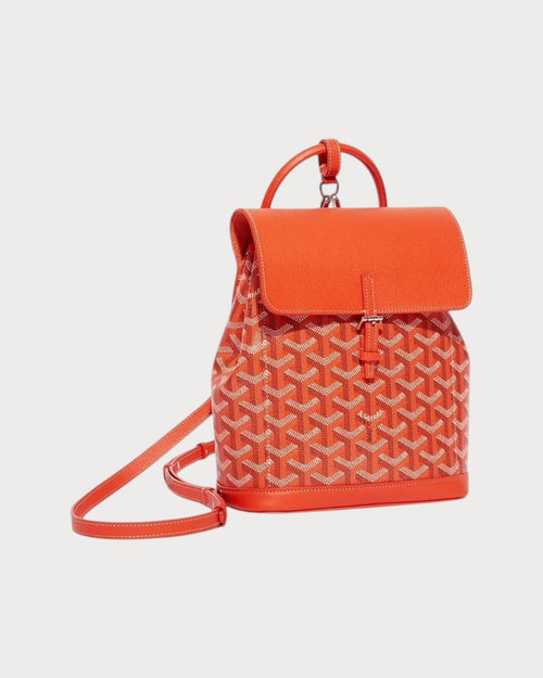 GOYARD Alpin Mini Backpack | 戈雅 背囊 (多色) - LONDONKELLY 英國名牌代購