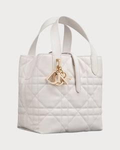 CHRISTIAN DIOR Small Dior Toujours Vertical Tote Bag | Dior Tote Bag (Multicolor)