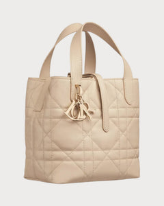 CHRISTIAN DIOR Small Dior Toujours Vertical Tote Bag | Dior Tote Bag (Multicolor)