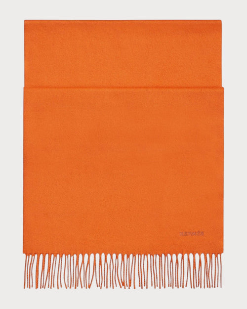 HERMES Men's Unie Brodee Muffler | 愛馬仕 男仕頸巾 (多色) - LONDONKELLY 英國名牌代購