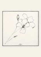 LORO PIANA La Linea Del Fiore Di Lino Foulard | 諾悠翩雅 絲巾 (黑白色) - LONDONKELLY 英國名牌代購